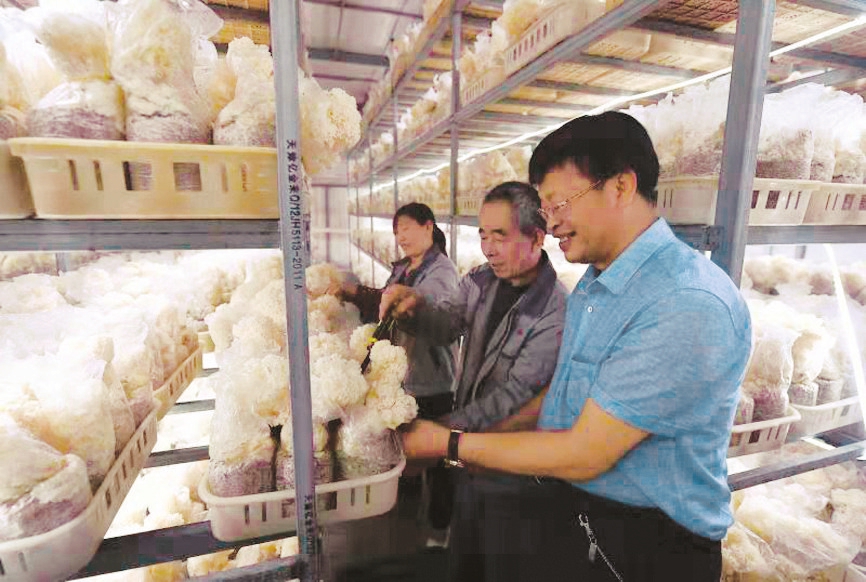 教育公平的重要性,如何实现教育公平