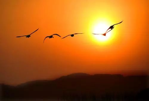 立秋人间最美是清秋,秋分是个浪漫的季节