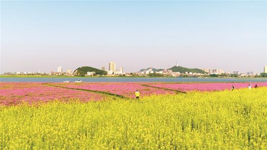 滨江新城的变化,滨江巨变