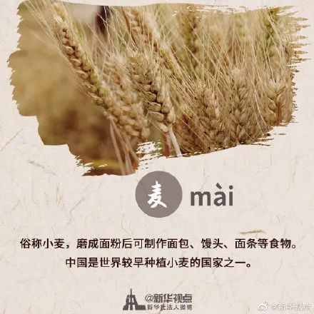 中国农民丰收节秋分节气同一天,二十四节气秋分也是农民丰收节