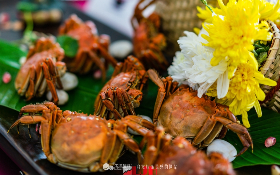 又到菊黄蟹肥时，无锡太湖鼋头渚渔家风情节上演