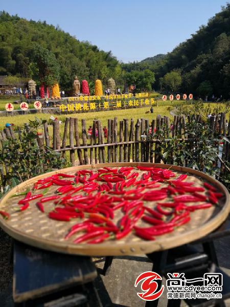 桃花源古镇农民丰收节,桃花源旅游节开幕式