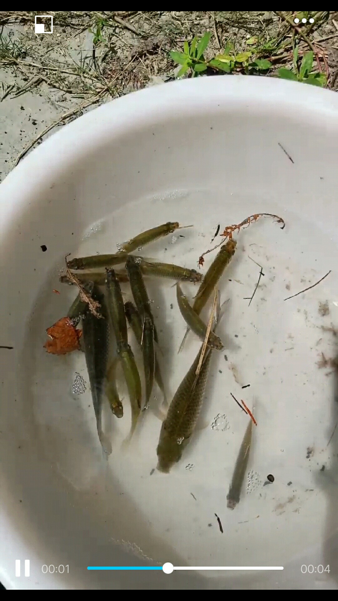 钓桶改装,水桶怎么改装钓桶