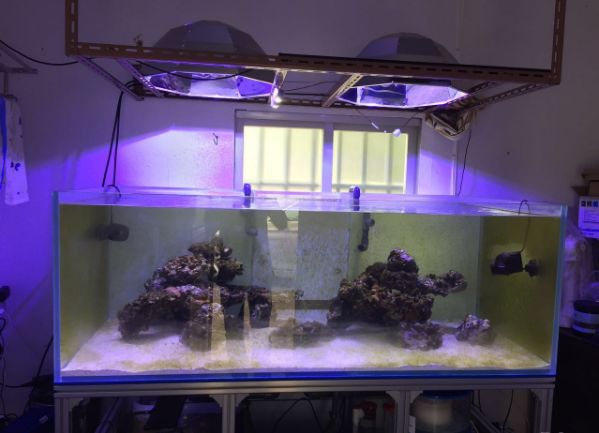 1.5米的大缸,1.5米大缸溪流造景