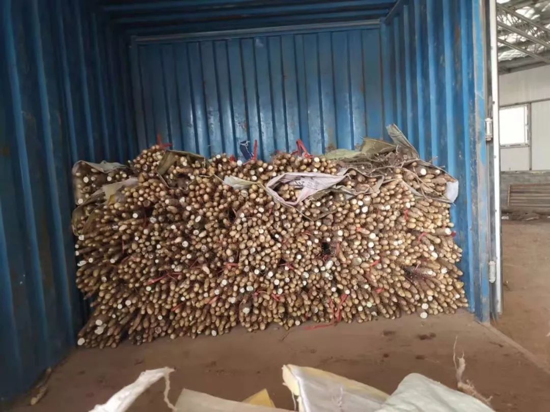 闪购|秋季滋补哪家强？当令食材之铁棍山药、板栗南瓜可以有