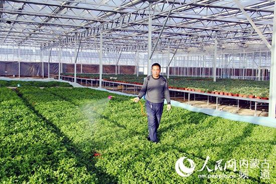 乌兰察布市融入京津冀一体化,乌兰察布市2020工作汇报