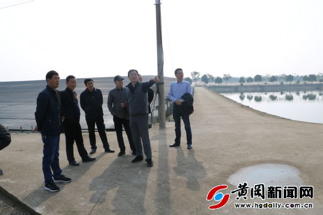 东方明珠湖北黄冈,黄冈中泰房地产有限公司刘欢