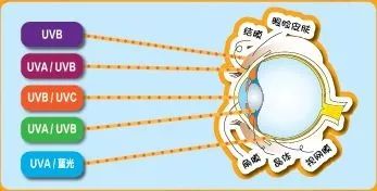 幼儿园教师疏忽导致安全事故,幼儿园疏忽管理导致孩子受伤