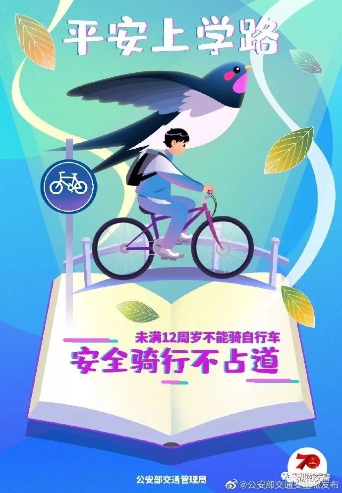 交通安全教育从婴幼儿抓起,交通安全教育从小培养