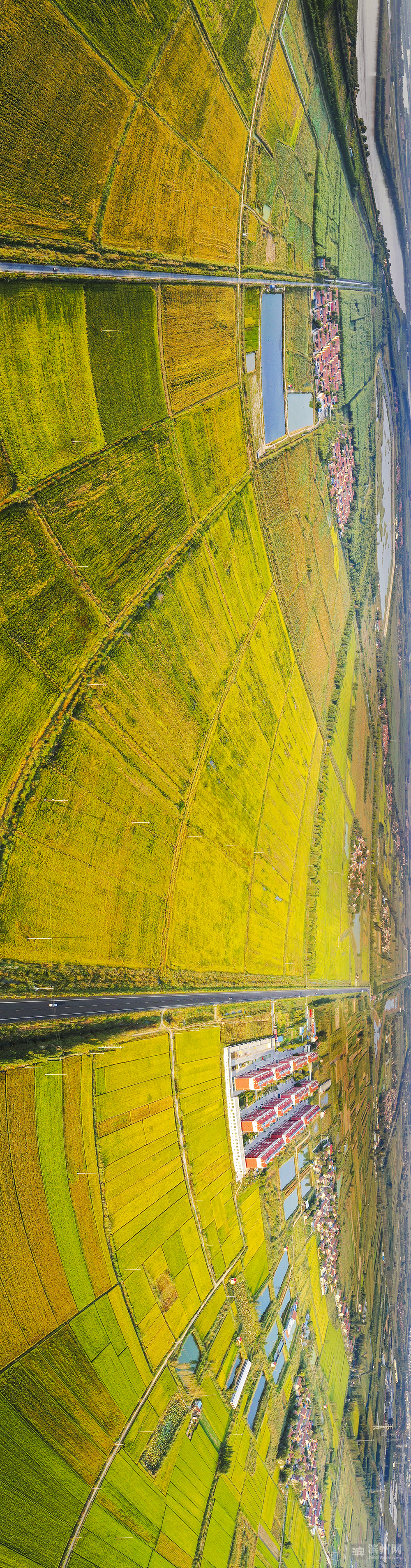 飞越滨州高新区：改革先行区厚植沿黄“城市之肺”