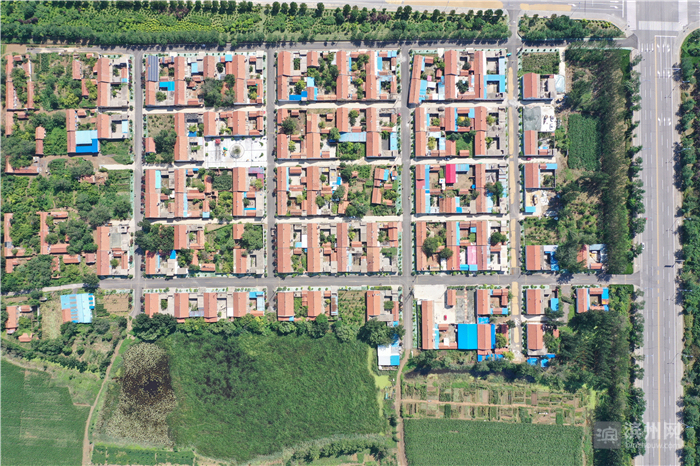 飞越滨州高新区：改革先行区厚植沿黄“城市之肺”