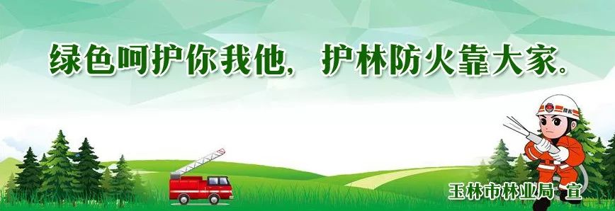 “我为家乡代言”玉林市电商大集各项工作已准备就绪，就等你来逛大集