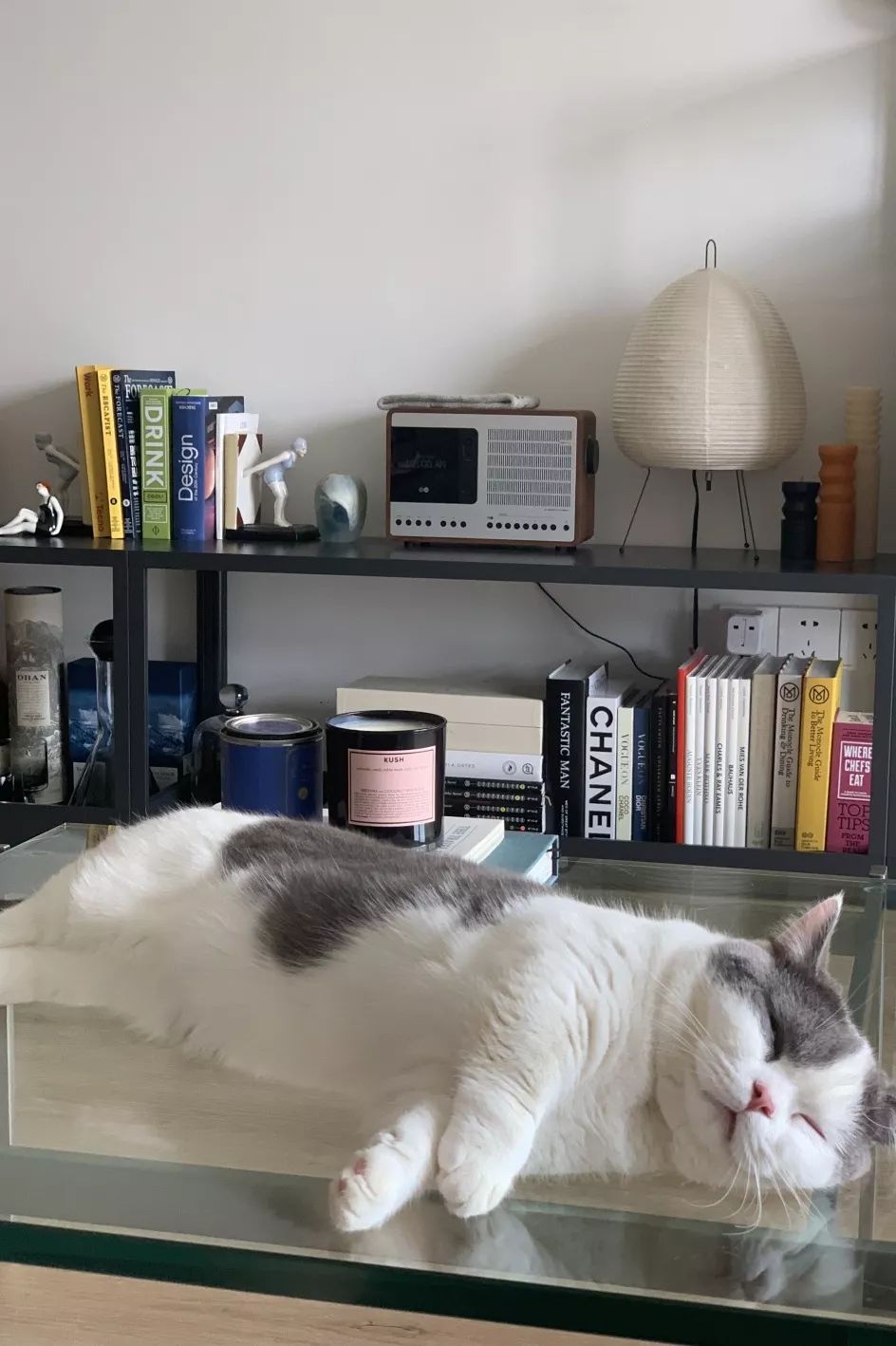 HomewithSS|家的进化论