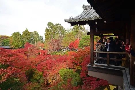 80%的人都想不到的赏秋好去处,不能错过的日本赏枫胜地