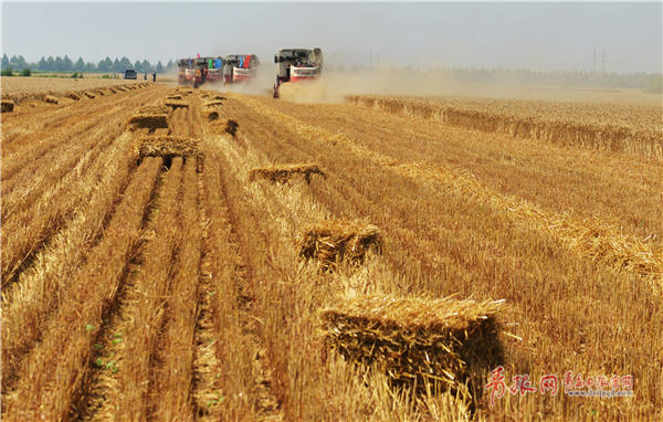 70秒看70年新中国发展巨变民生篇,70年农村巨变之农村篇