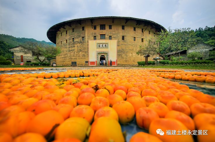 喜迎国庆醉美土楼|借问酒家何处有？拳王争霸风情街！我有酒，你有故事吗？