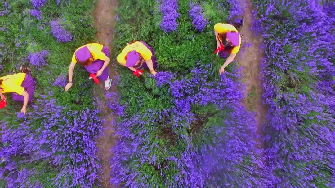 选好出行路线,选日期出行