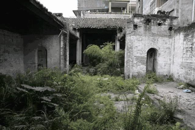 以梦为马，不负韶华，我的民宿梦丨最美民宿创业沙龙