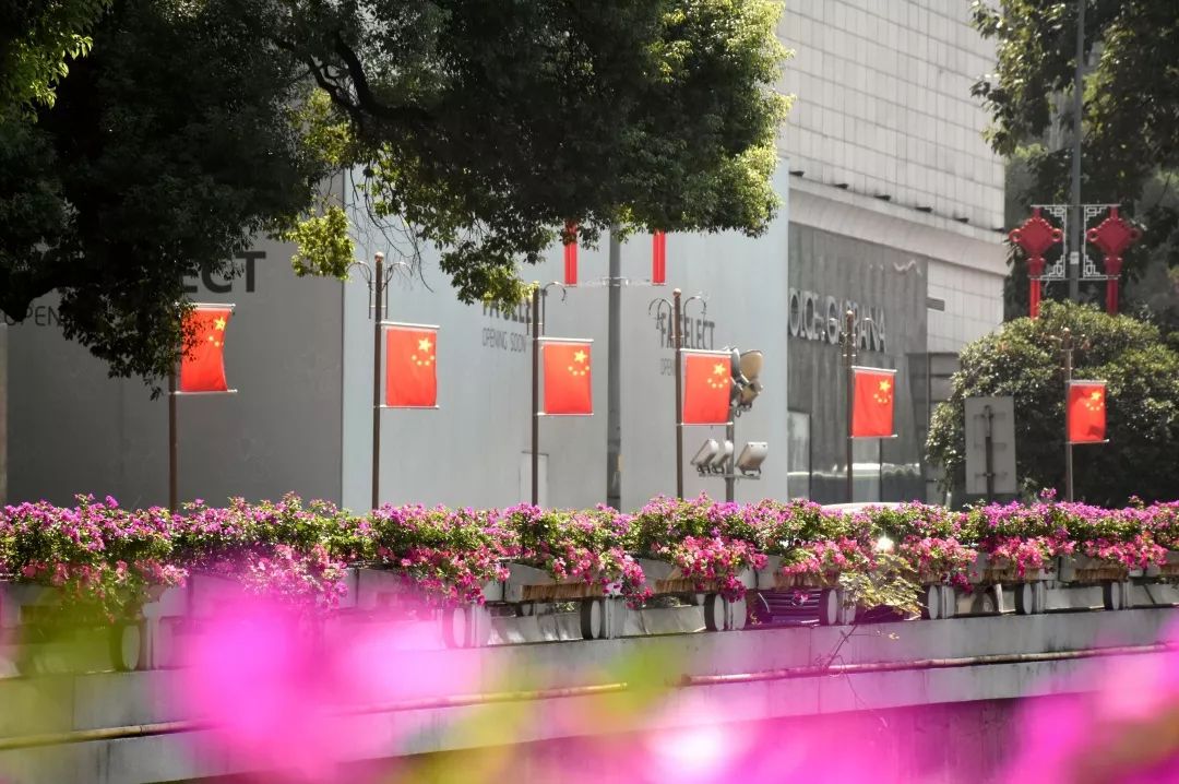 五星红旗你是我的骄傲完整版,五星红旗你是我的骄傲我为你欢呼