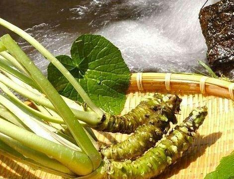 农村储存的菜有哪些,什么菜便宜又耐储存