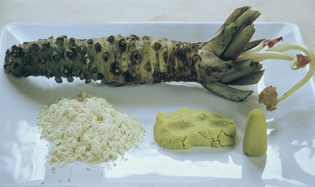 农村储存的菜有哪些,什么菜便宜又耐储存