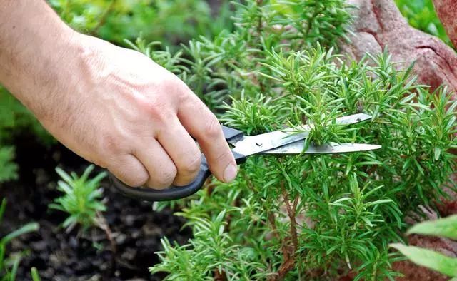 失眠多梦一夜没睡觉,失眠多梦怎么调理最有效