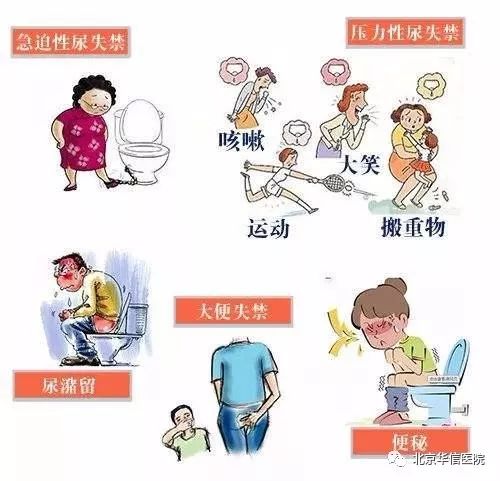 产后盆底康复视频教程,产后腰痛康复训练方法