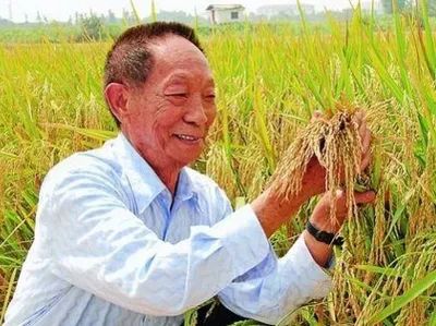 阿中爱豆,爱豆阿中