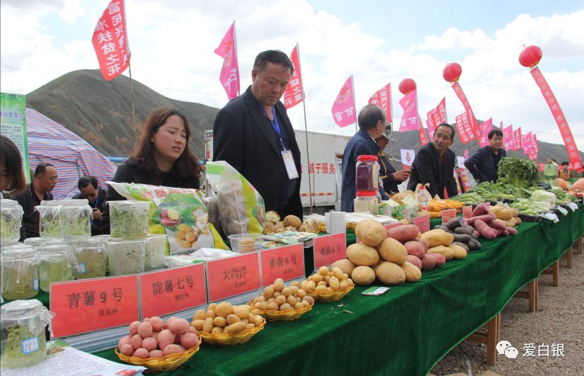 白银新闻抢先看,白银今日要闻