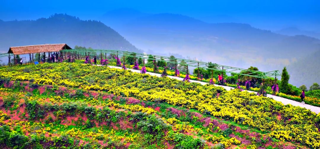 小微叫你来巡山！这座“山”用整个国庆都耍不完……