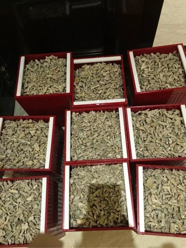 fot多大缸,fot高缸