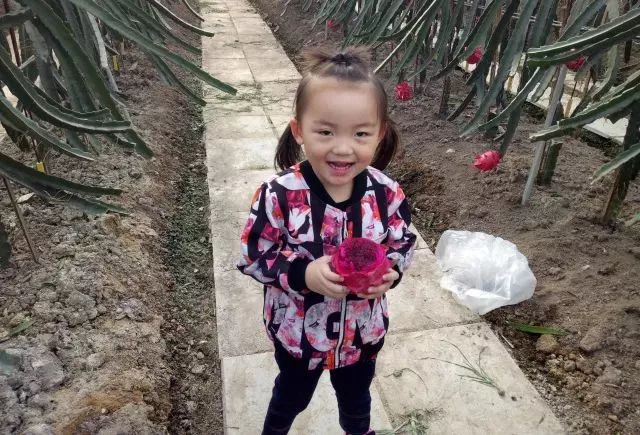 北仑小港有什么好玩的地方,北仑小港去哪玩