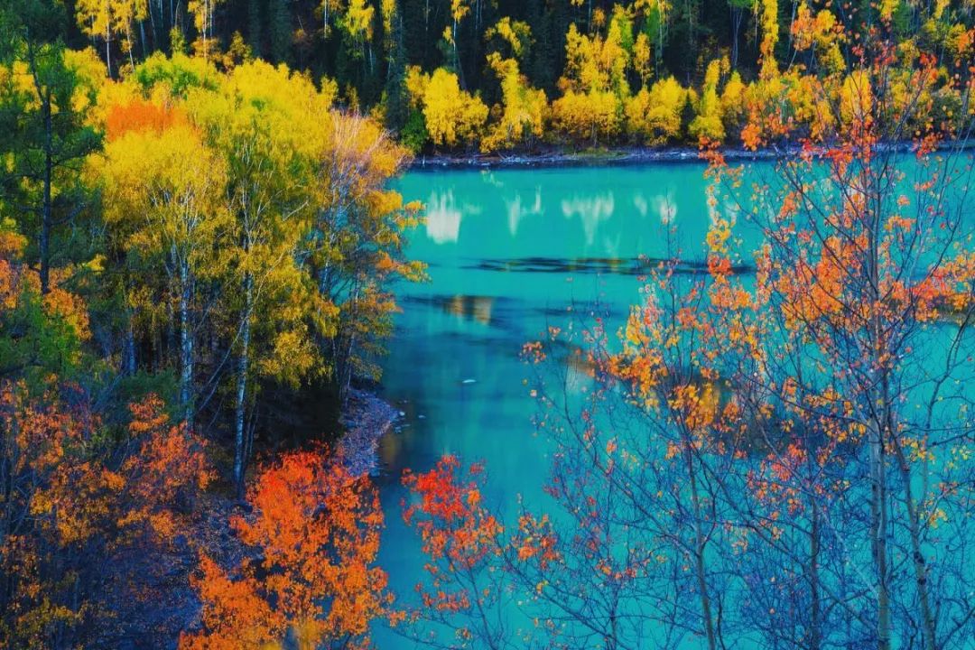 冬天的新疆喀纳斯,冬天是去伊犁还是喀纳斯