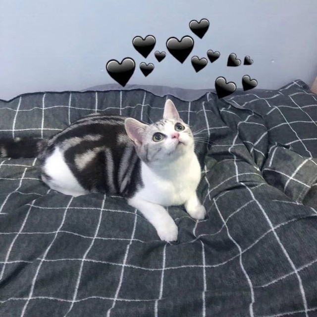 自如房甲醛超标怎么解决,自如甲醛超标死亡原因