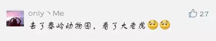 十一假期小景点,十一小长假十大景区