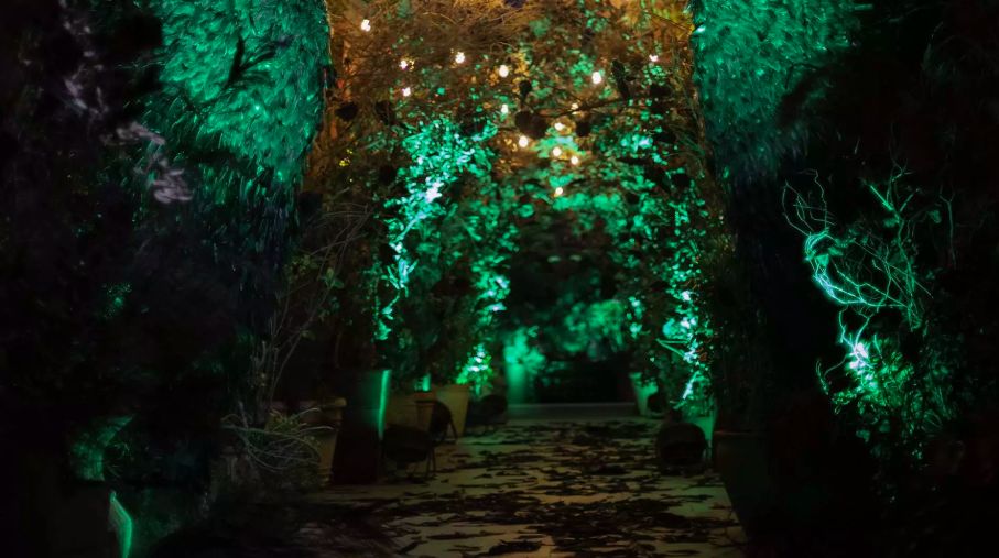 The Grounds x Maleficent限时出现，悉尼绝美Cafe化身暗黑仙女风！限定甜品相当吸睛