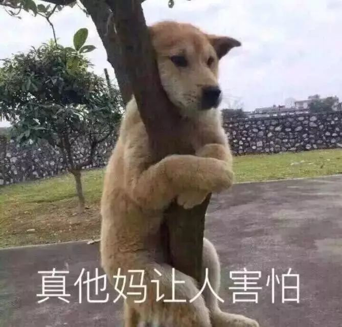 割韭菜算命方法,网络占卜揭秘大数据