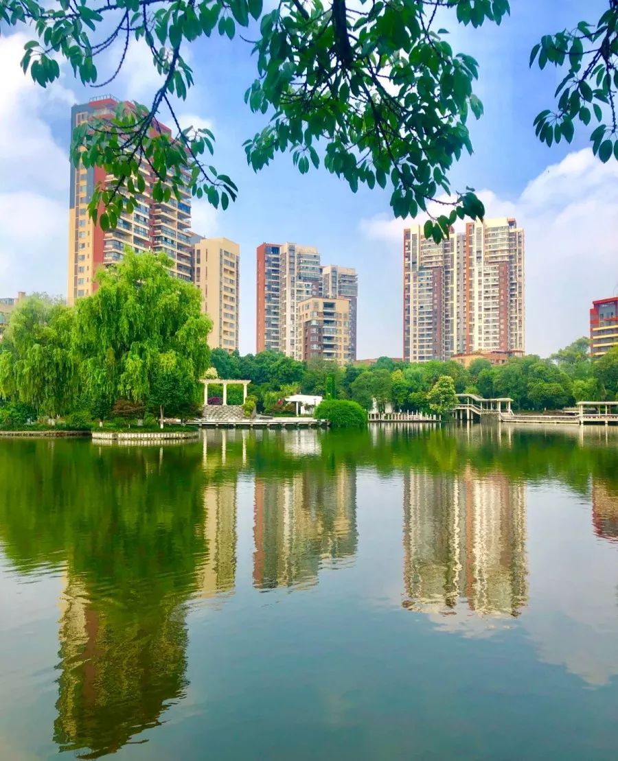 国庆黄金周，青白江接待游客56.89万人次！