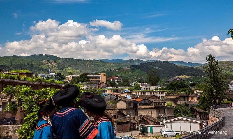 美得不用滤镜!带你邂逅“一个春天的城市”,一辈子一定要去一次