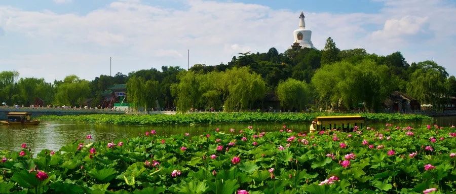 坚定文化自信推动文化繁荣兴盛,增强文化自觉坚定文化自信展示