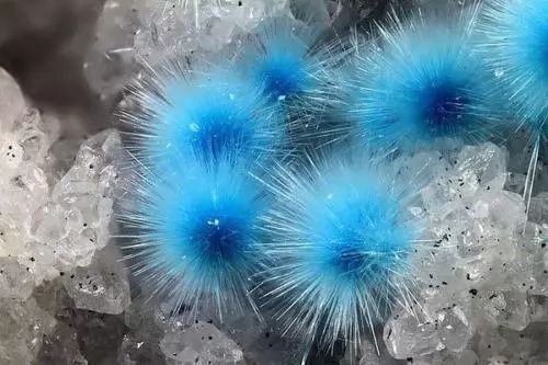 谁还不是个小可爱呢下一句,谁还不是小可爱