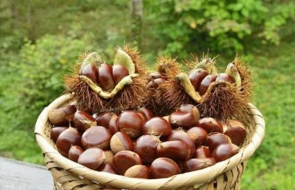 5秒钟剥板栗皮关键找准小机关,板栗剥开里面一层黑