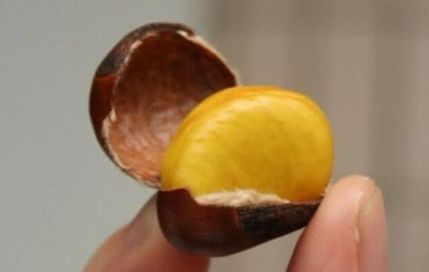 5秒钟剥板栗皮关键找准小机关,板栗剥开里面一层黑