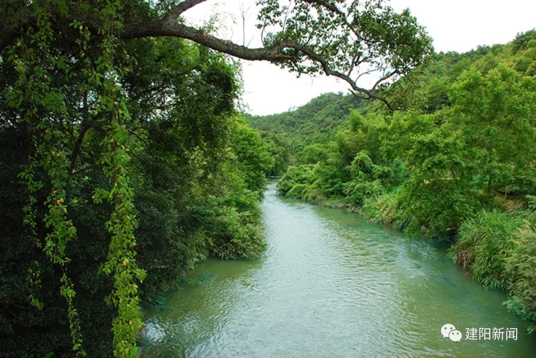 【壮丽七十年·奋斗新时代】莒口：生态环境“高颜值”,绿色发展“高质量”