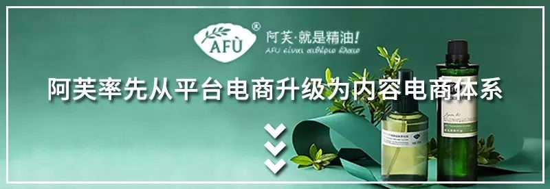 修合无人见，美妆电商资深操盘手眼里的WIS完美日记们