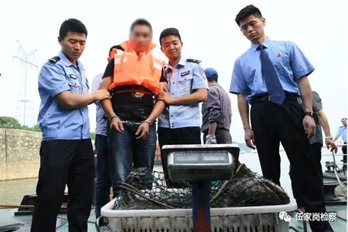 “护江”检察官的“大鱼梦”