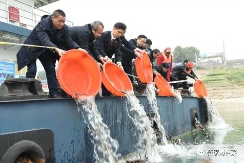 “护江”检察官的“大鱼梦”