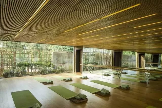 耗时3年的花间堂创始人新作，以船代步揭开杭城小众一面