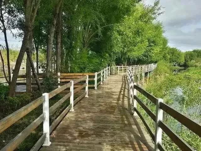 拉市海候鸟湿地公园在哪里,拉市海湿地公园和归来公社