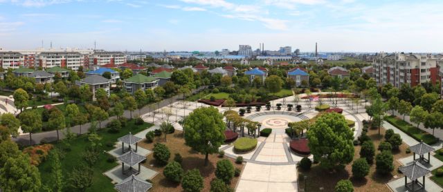 96.13分，全区首个！这个村的萧山人，太幸福